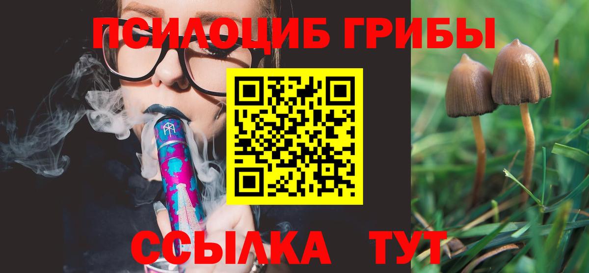 дарнет шоп  Вход с VPN  Рославль  Галлюциногенные грибы мицелий 