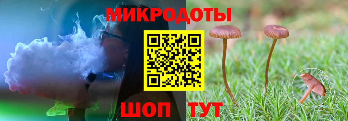 Псилоцибиновые грибы Psilocybe Рославль